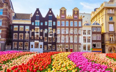 Standardy mieszkań dla migrantów zarobkowych w Niderlandach