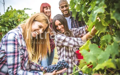 Praca sezonowa dla studentów 2025 – gdzie najlepiej zarabiać i podróżować jednocześnie?