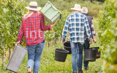 Życie codzienne pracownika sezonowego – jak wygląda praca i czas wolny?