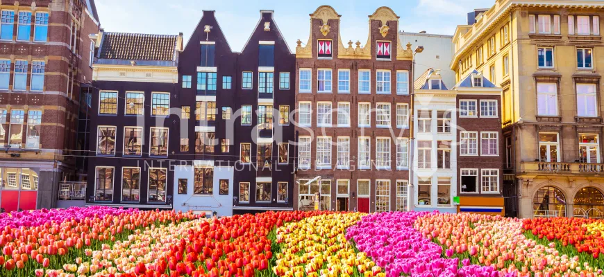 Standardy mieszkań dla migrantów zarobkowych w Niderlandach