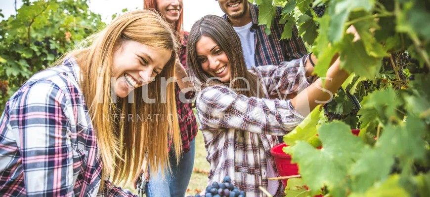 Praca sezonowa dla studentów 2025 – gdzie najlepiej zarabiać i podróżować jednocześnie?