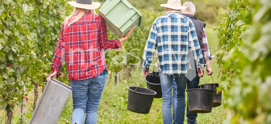 Życie codzienne pracownika sezonowego – jak wygląda praca i czas wolny?